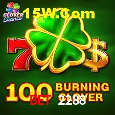 Experiência VIP Bet 2288